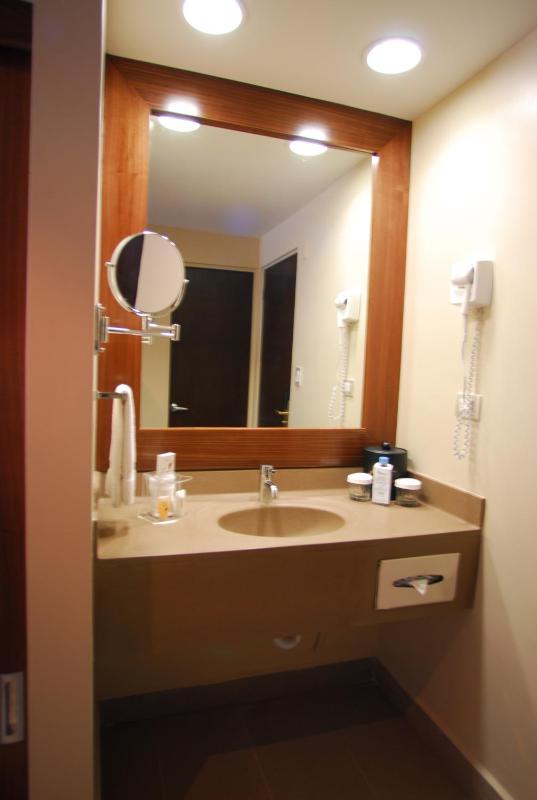 Antaris Valle - image 19