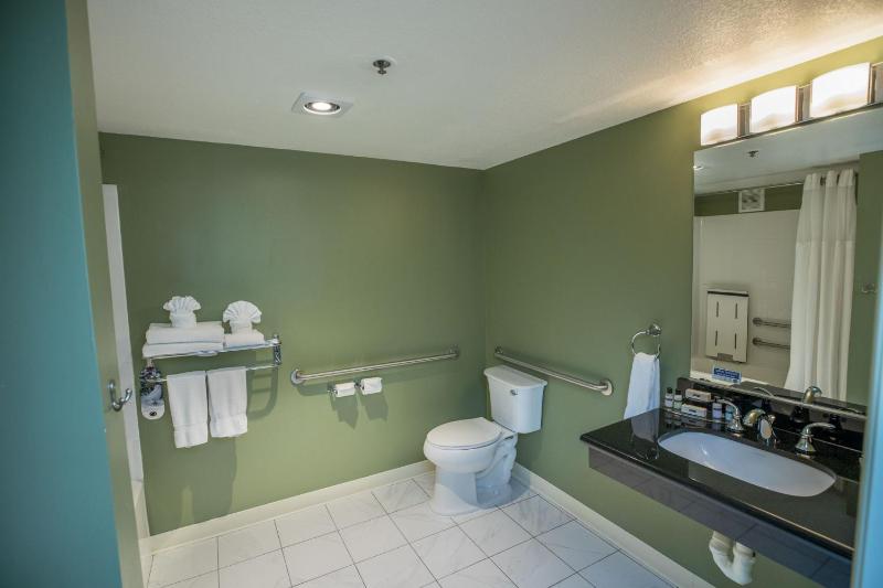 Queen Room - Disability Access image 4