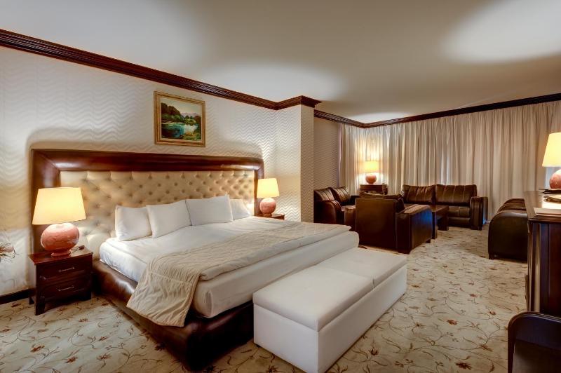 Deluxe King Suite with Mountain View image 3