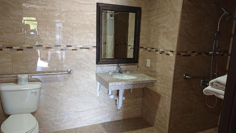 Single Room - Disability Access image 4