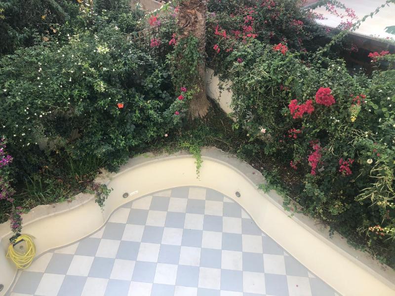 Alley Boutique Hotel and Spa - image 2