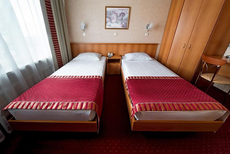 Standard Twin Room image 1