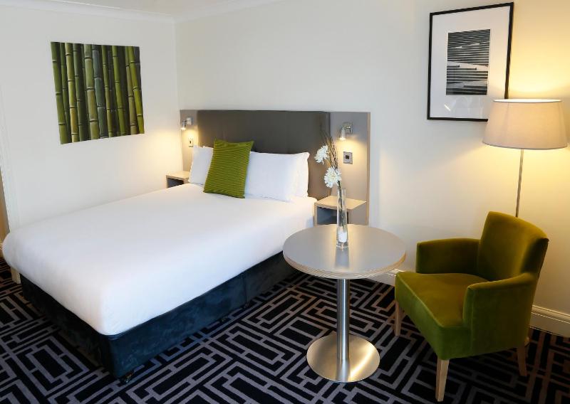 King Room image 1