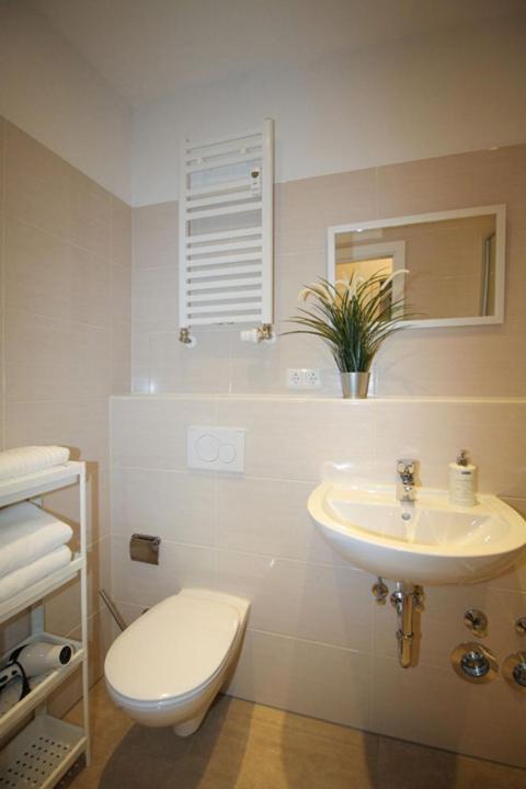 Studio Apartment image 3