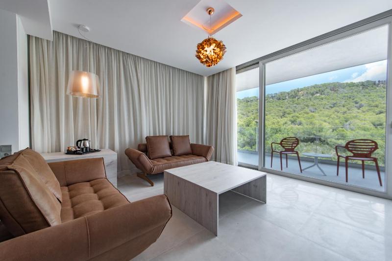 Junior Suite with Mountain View image 4