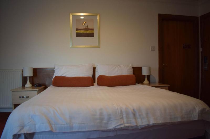 Deluxe King Room image 4