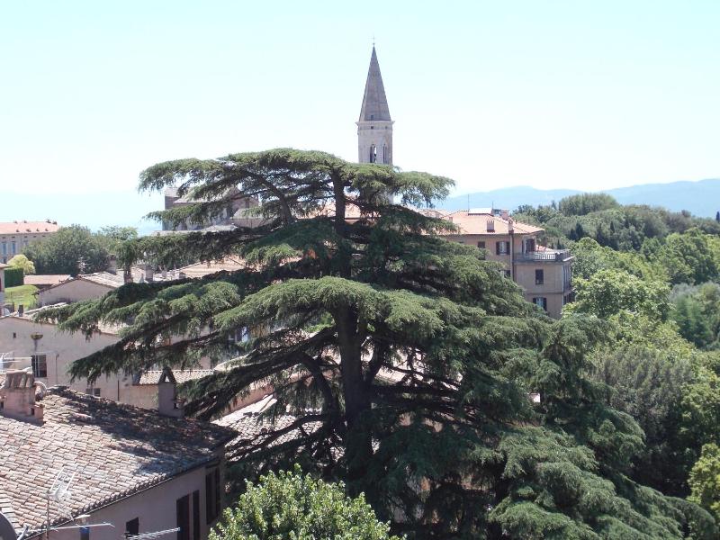 Hotel Signa - image 9