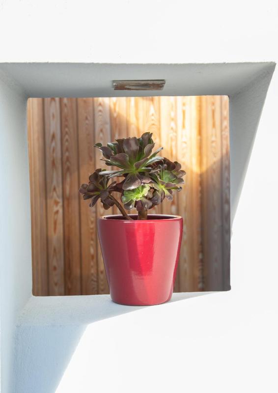 Deluxe Suite with Outdoor Hot Tub image 2