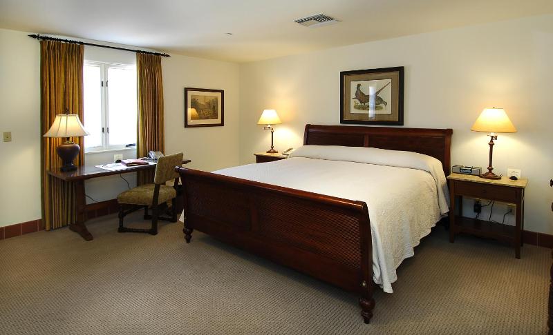 Deluxe King Room image 2