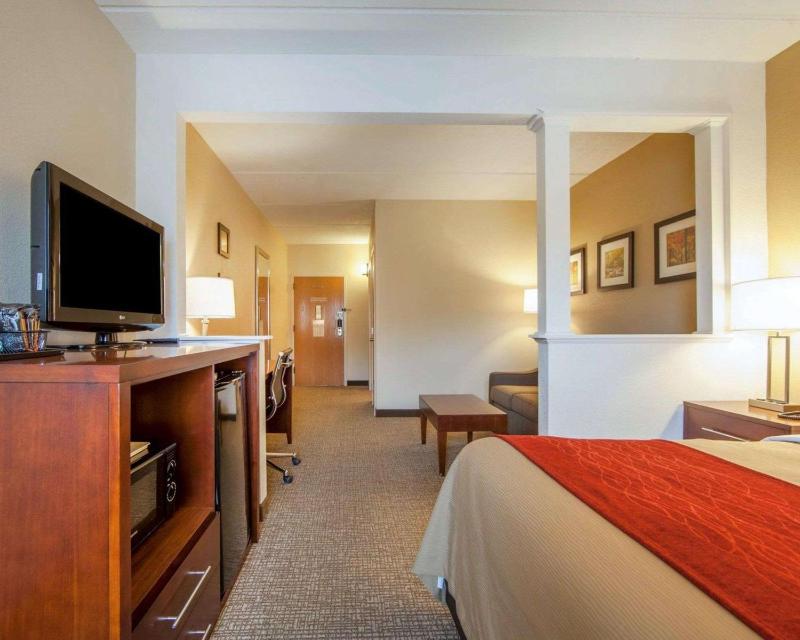 King Suite with Sofa Bed - Non-Smoking image 2
