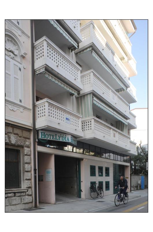 Hotel Lydia - image 1