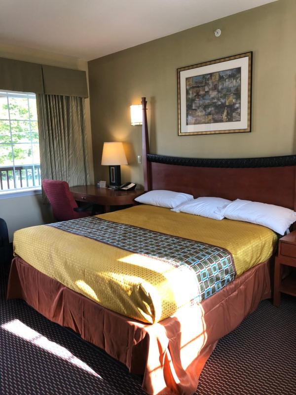 Room with One Double Bed image 2
