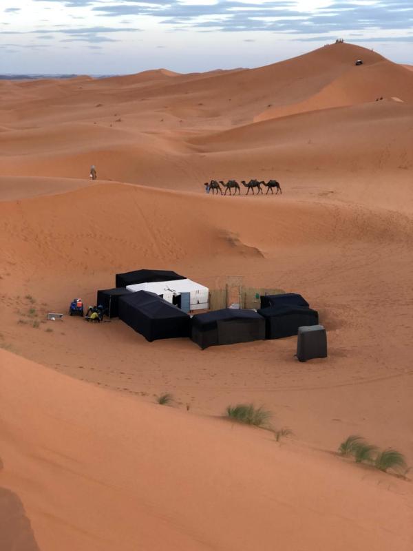 Sahara camel tours camp - image 2