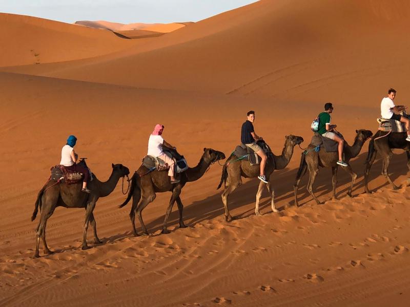 Sahara camel tours camp - image 47