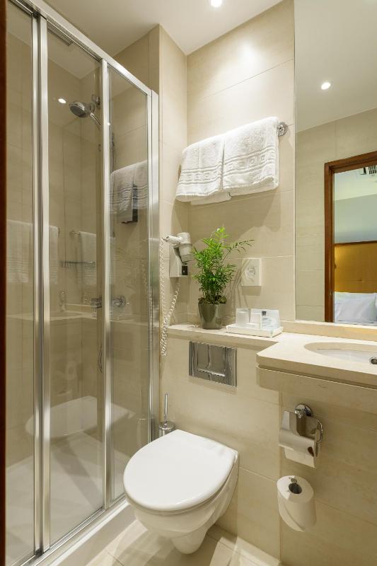 Double or Twin Room image 2