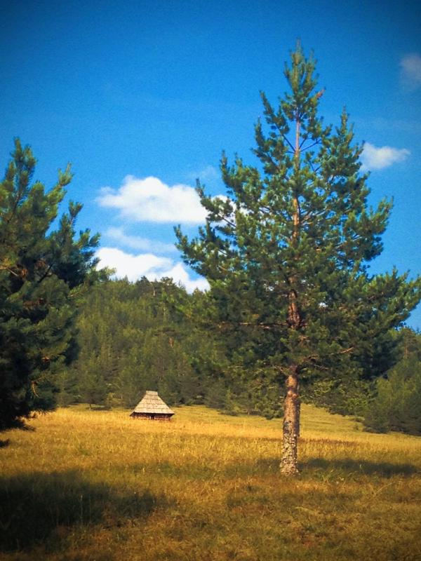 Previja Zlatibor Chalet - image 2