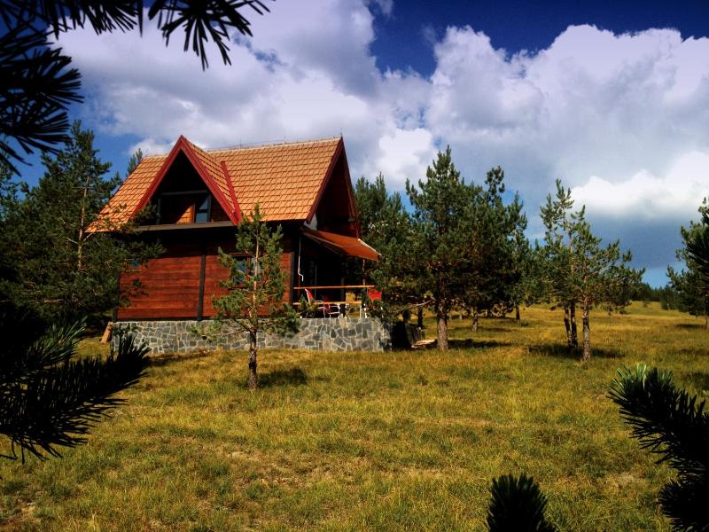 Previja Zlatibor Chalet - image 15