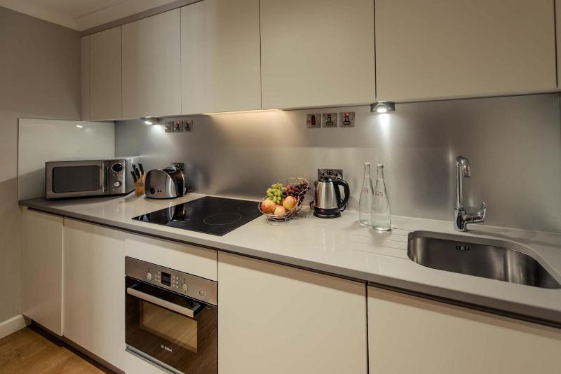 One-Bedroom Apartment image 2