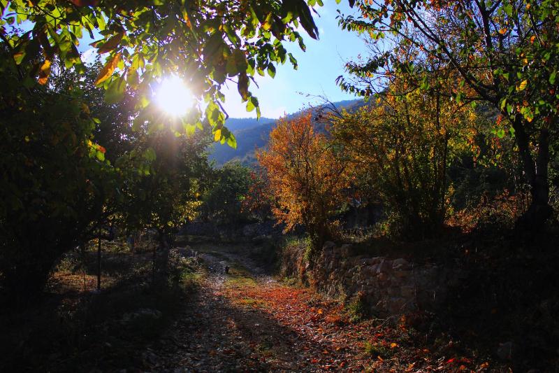 Quiet Villa Near Berat - Scenic Balcony & Garden - image 16