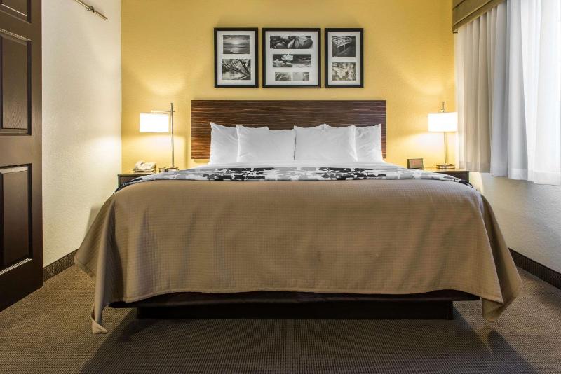 King Suite with Sofa Bed image 3