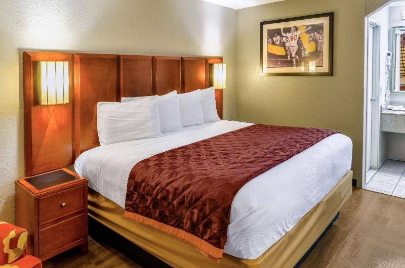 King Room - Accessible/Non-Smoking image 4
