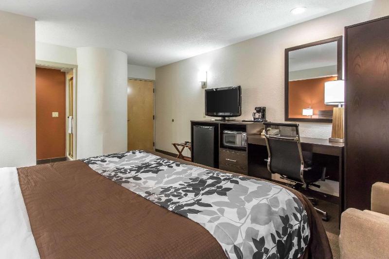 Queen Room Disability Access image 3