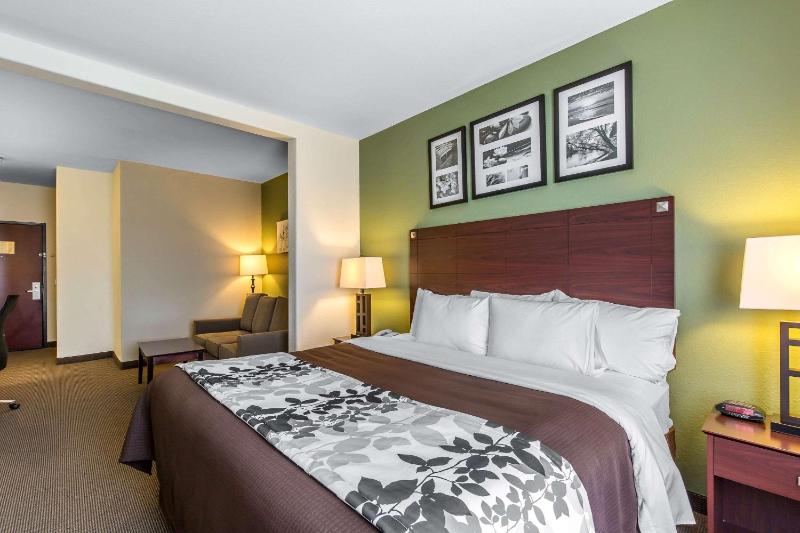 King Suite with Sofa Bed - Non Smoking image 3