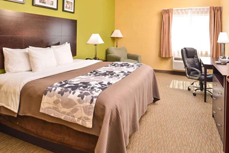 King Room image 1