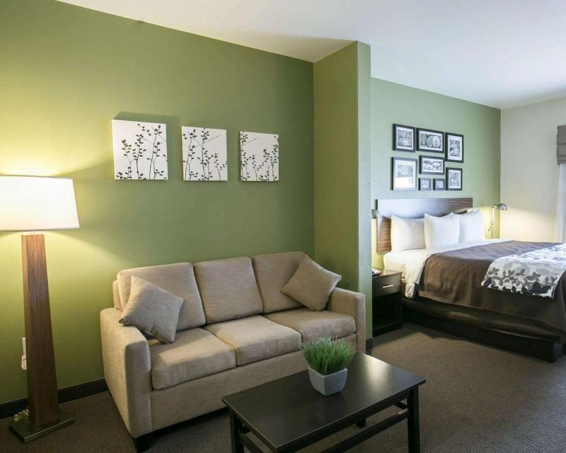 King Suite - Non-Smoking image 1