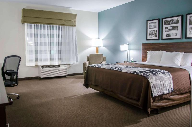 King Suite with Kitchenette - Non-Smoking image 4