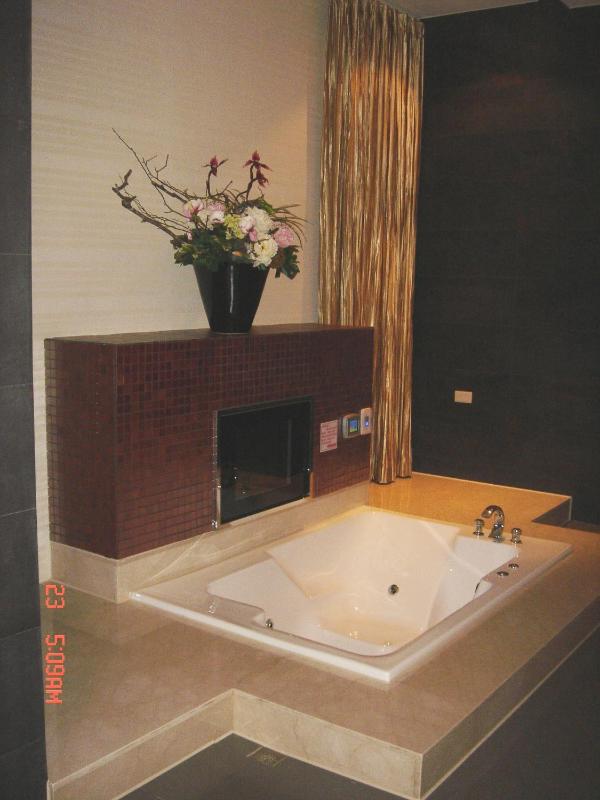 Hip Spa Motel - image 12