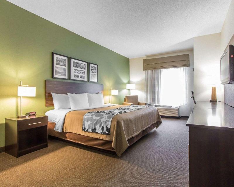 King Room - Non-Smoking image 1