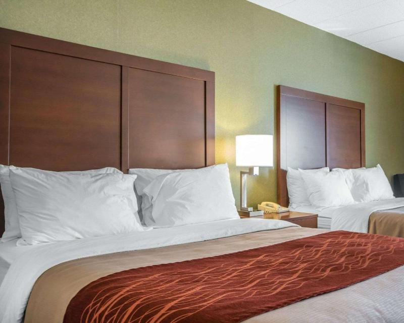 Queen Room with Two Queen Beds- Non-Smoking image 3