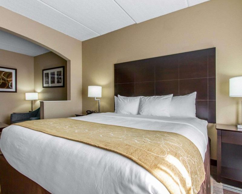 King Suite - Non-Smoking image 3
