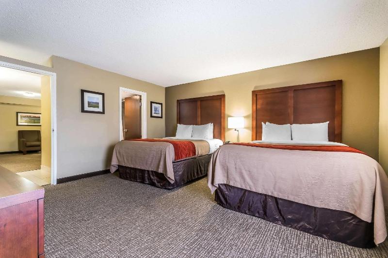 Queen Suite image 2