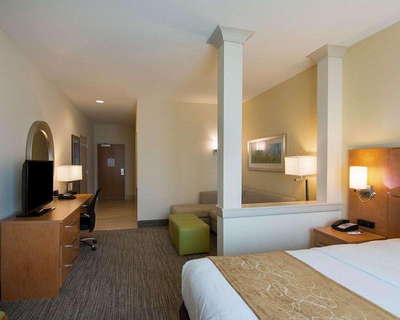 Deluxe King Suite - Non-Smoking image 3