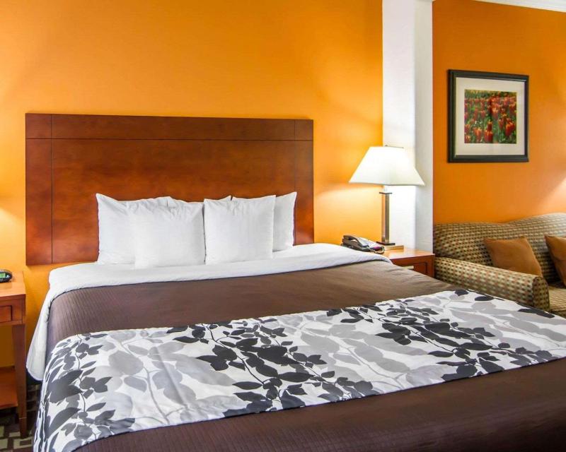 King Suite - Non-Smoking image 2