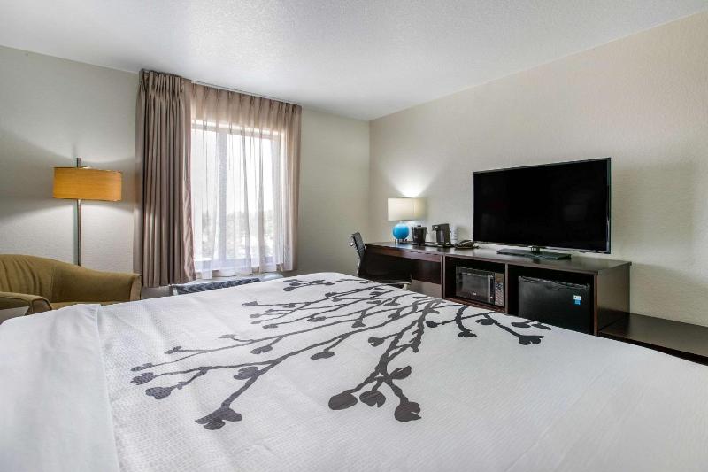 King Room - Non-Smoking image 3