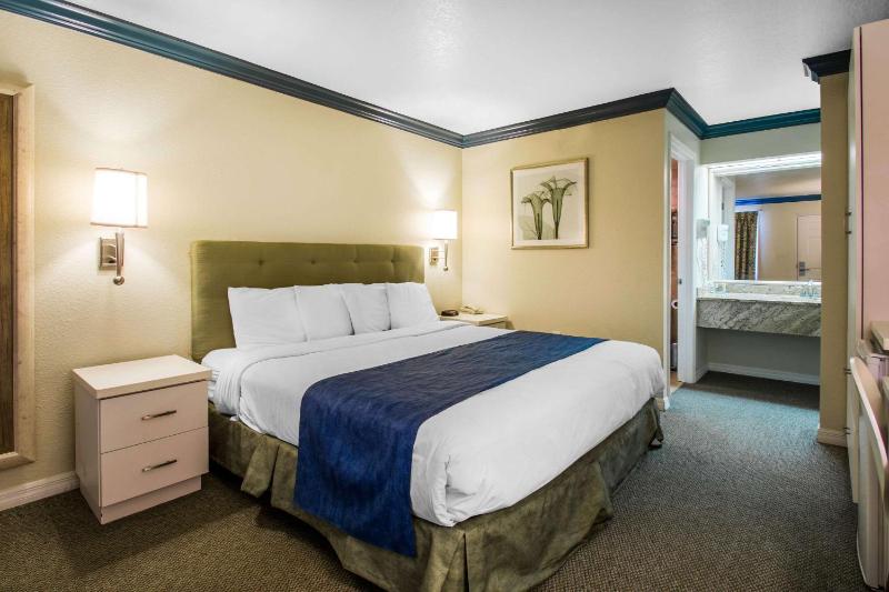 King Room - Non-Smoking image 3