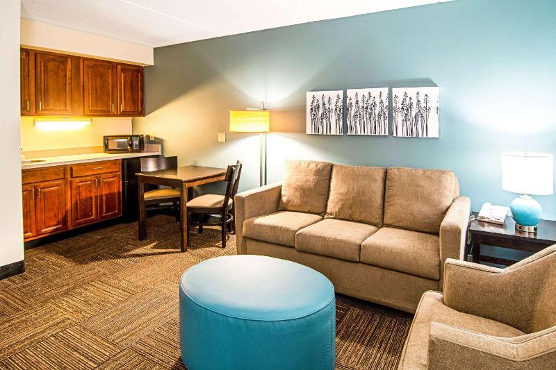 One-Bedroom Suite image 4