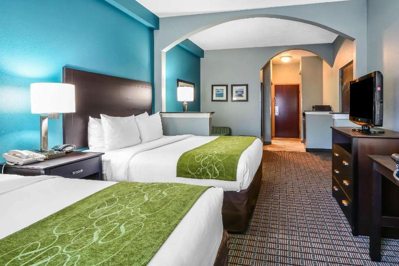 Comfort Suites Tampa - Brandon - image 3