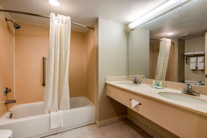 King Suite with Sofa Bed - Non-Smoking image 3