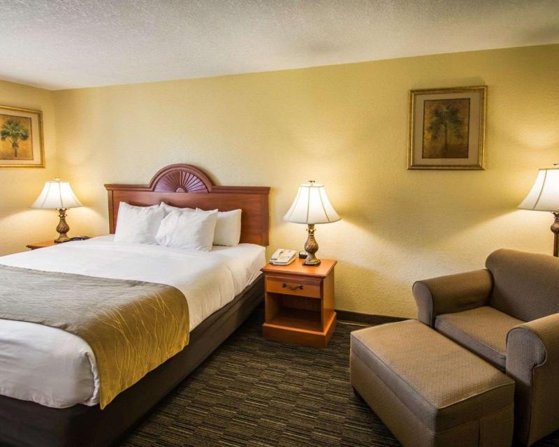Standard King Room - Non-Smoking  image 2