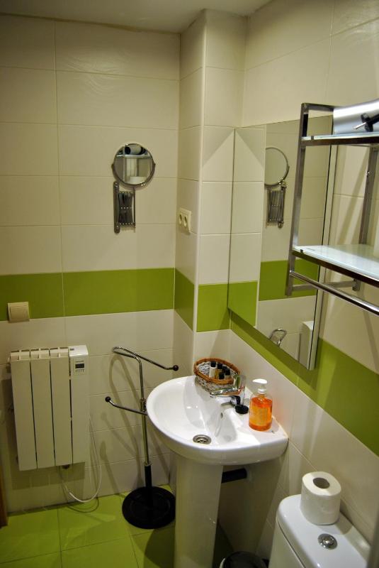 Studio Apartment image 4
