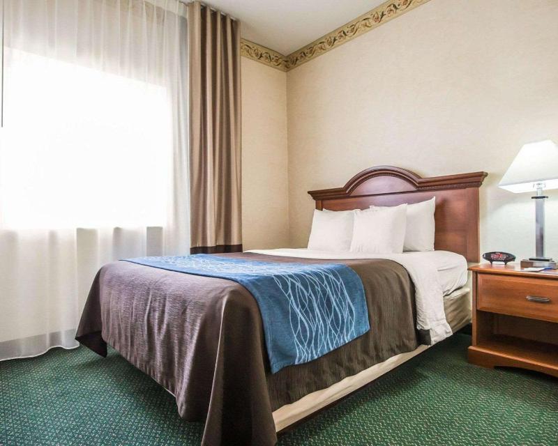 Queen Suite with Sofa Bed - Non-Smoking image 1