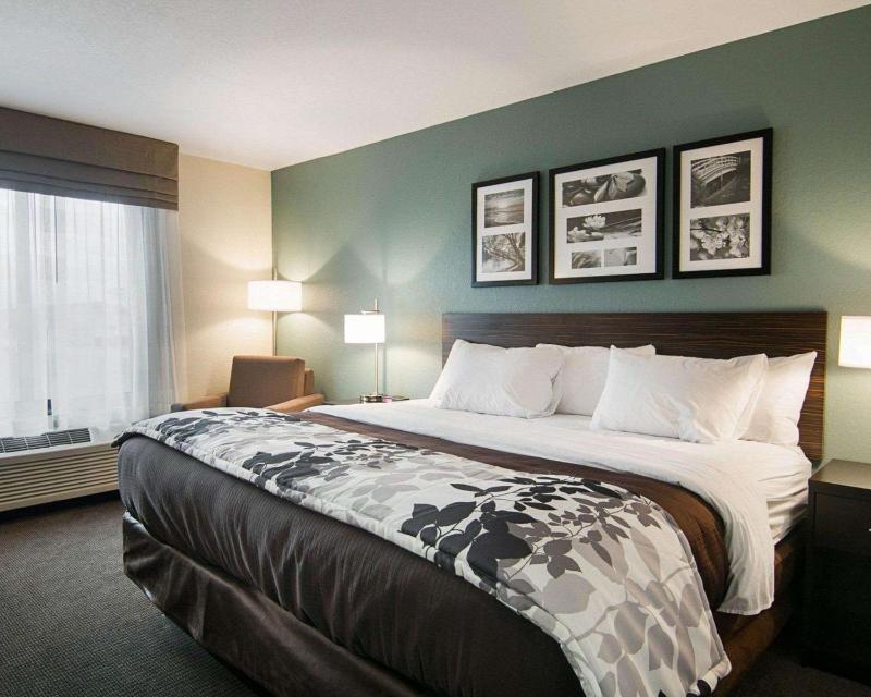 King Room - Non-Smoking image 1
