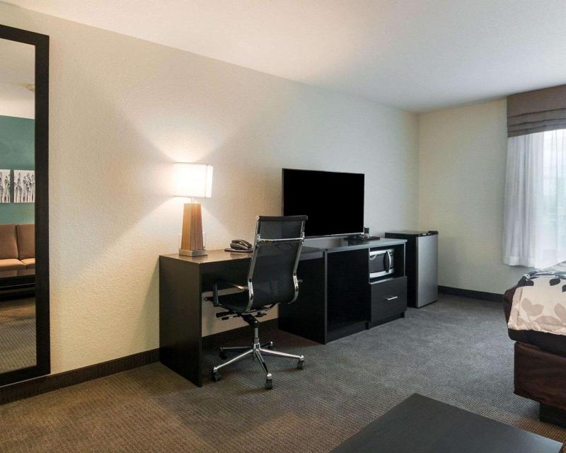 King Suite with Sofa Bed image 2