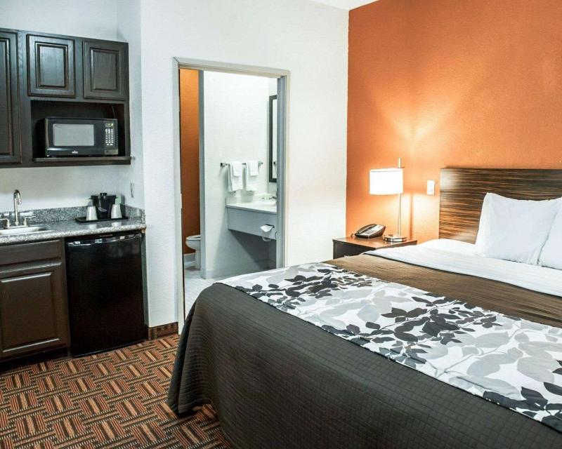 King Room - Non-Smoking image 3