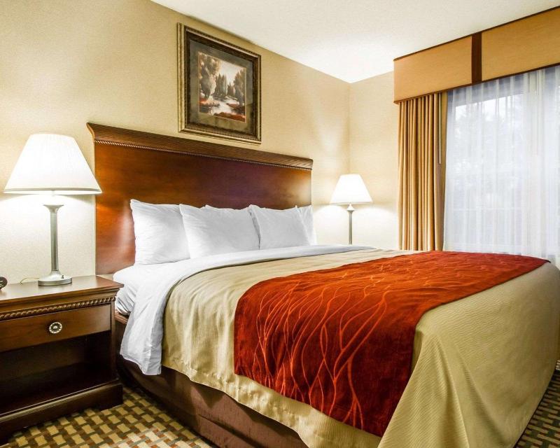 King Suite - Non-Smoking image 2