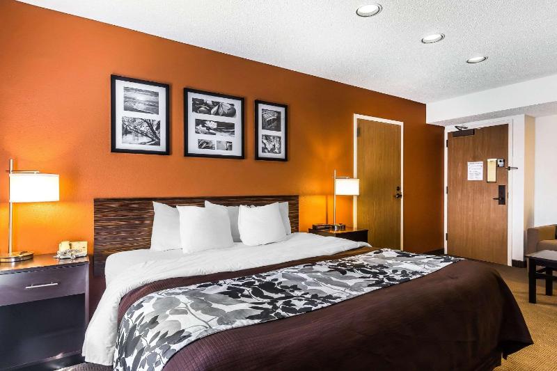 King Suite - Non-Smoking image 4